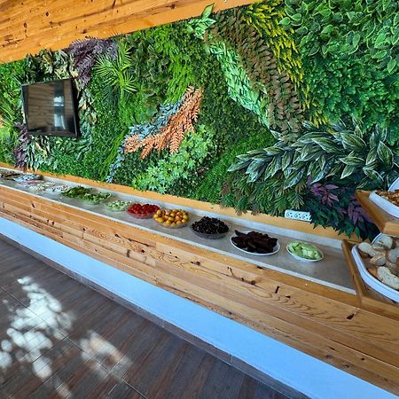 Amsterdam Boutique Hotel Kemer Exteriör bild