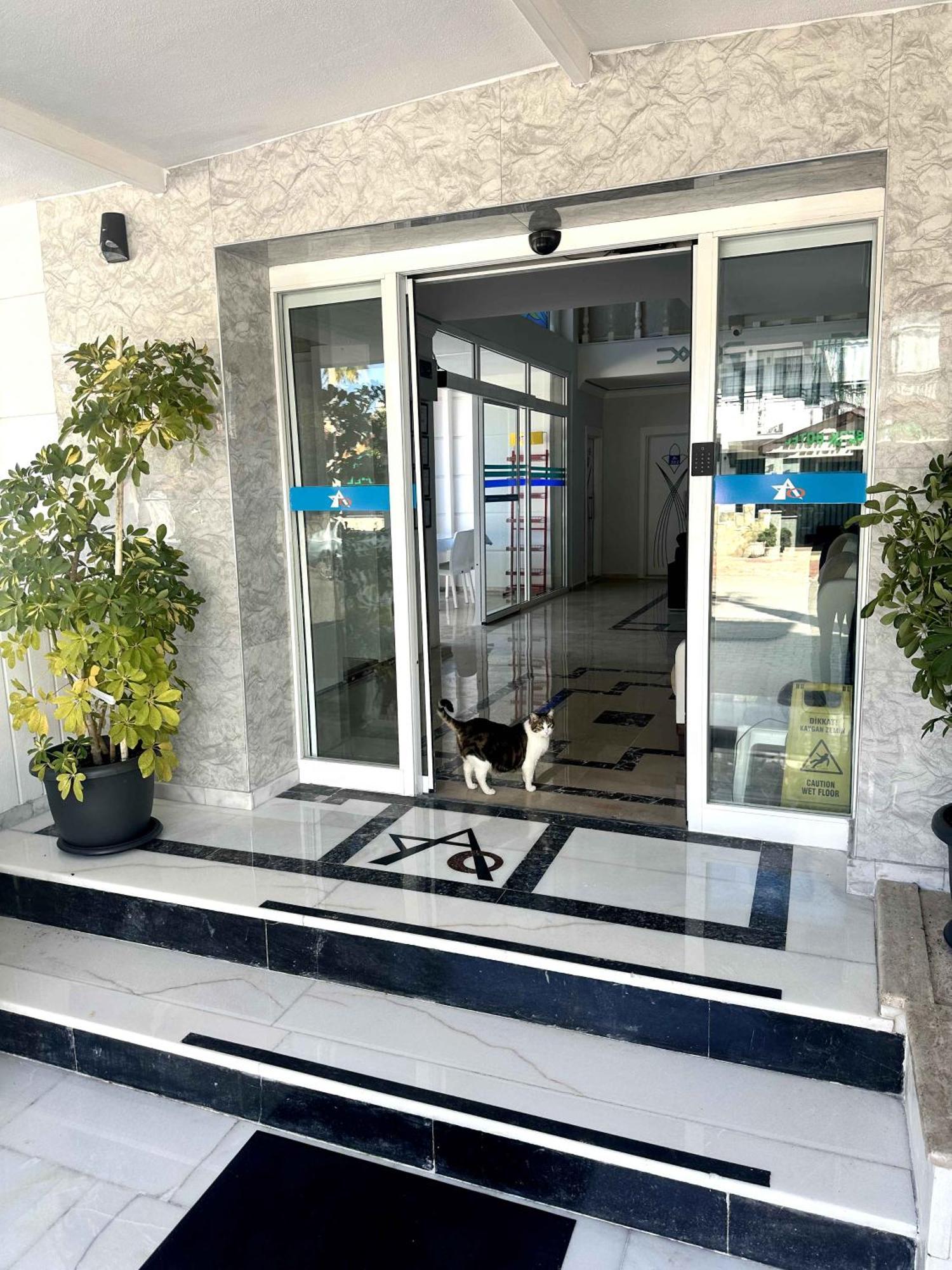 Amsterdam Boutique Hotel Kemer Exteriör bild